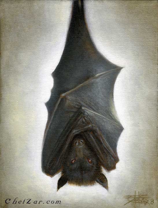 Bat