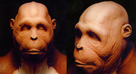 PlanetOfTheApes_OurangutanSculpt_sm